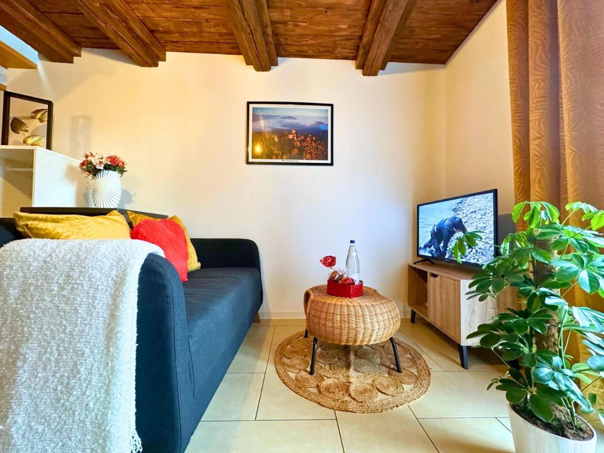 Le Petit Chataignier - Cozy Immo Châtenois Exterior foto