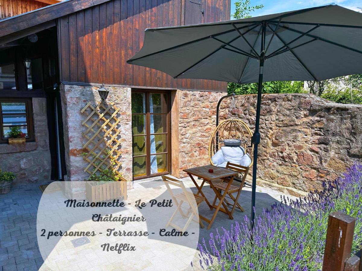 Le Petit Chataignier - Cozy Immo Châtenois Exterior foto